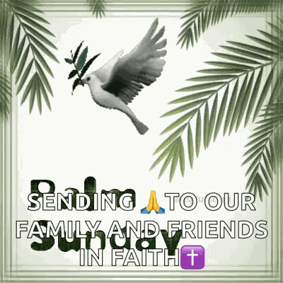 Palmsunday Dove GIF
