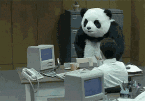 Panda Angry GIF