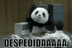 Panda Enfadado Despedida GIF