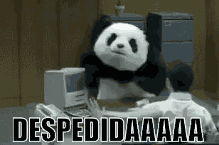 Panda Enfadado Despedida GIF