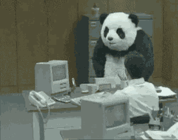 Panda Rage GIF