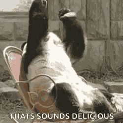 Panda Sad GIF