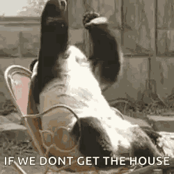 Panda Sad GIF