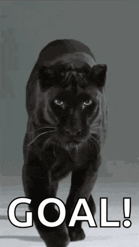 Panther Black Panther GIF