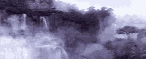 Panther Fog GIF