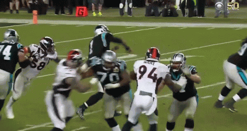 Panthers Newton GIF