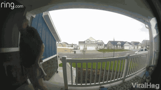 Pants Fall Pants Malfunction GIF