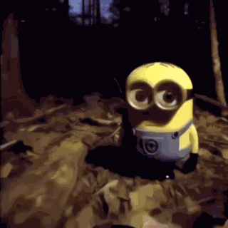 Papoi Stan Twt GIF