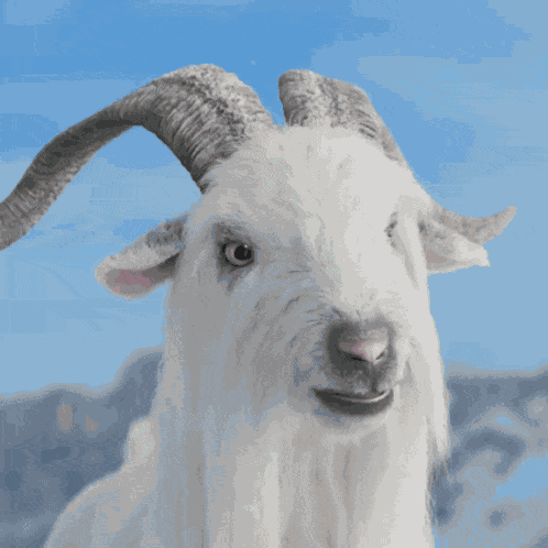 Paramount Plus Paramount GIF