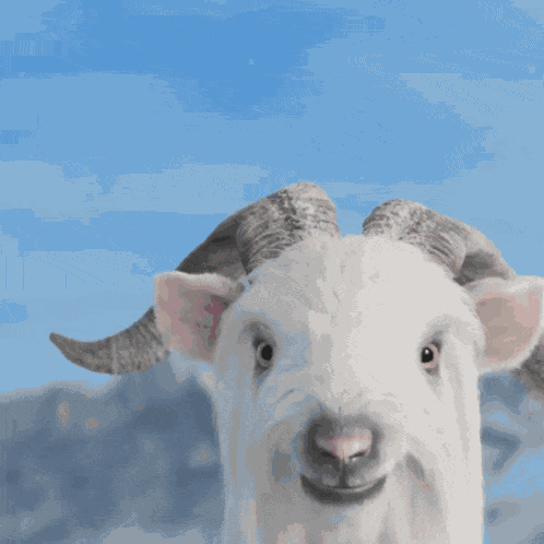 Paramount Plus Paramount GIF