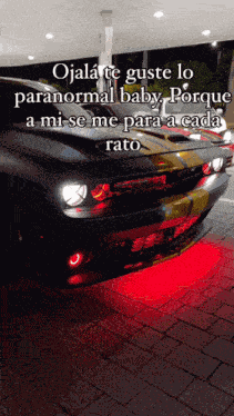 Paranormal Srt GIF