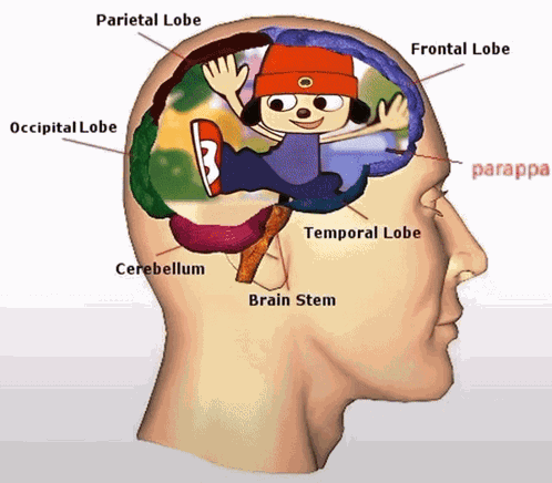 Parappa Parappa The Rapper GIF