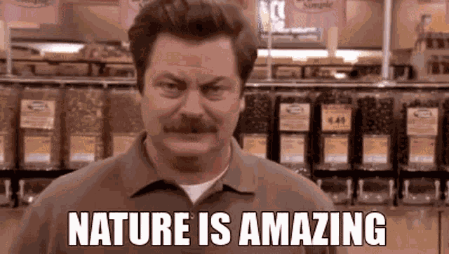 Parks And Recreation Ron Swanson GIF