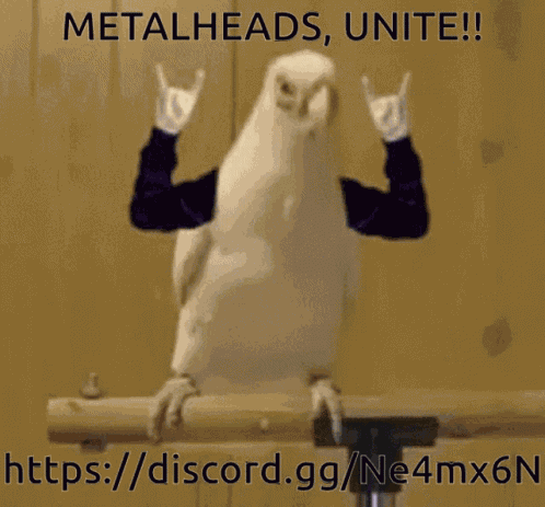 Parrot Animal GIF