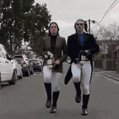 Partiboi69 Horse GIF
