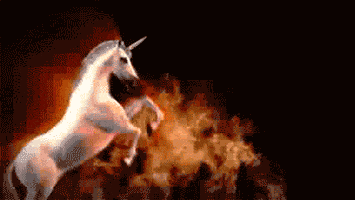 Party Celebrate GIF