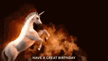 Party Celebrate GIF