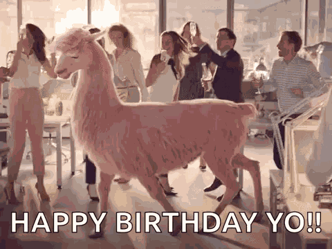 Party Llama GIF