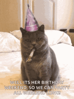 Party GIF
