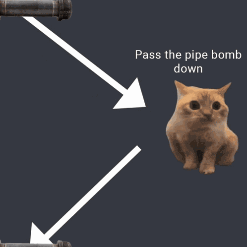 Pass The Pipe Bomb Down Cat GIF