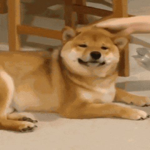 Pat Patting GIF