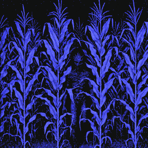 Patternbase 8-bit GIF