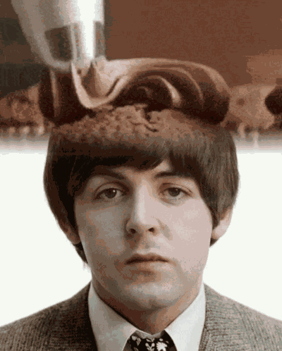 Paul Mccartney The Beatles GIF