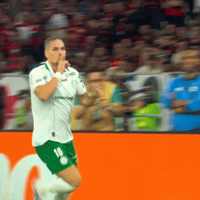 Paulinho Palmeiras Palmeiras 3 A 0 Flamengo GIF