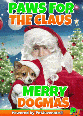 Paws Christmas Paws GIF