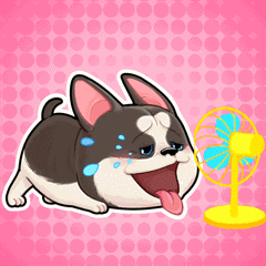 Pawsum Playpawsum GIF