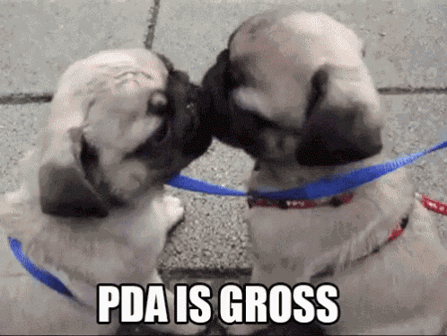 Pda Is Gross GIF