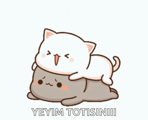 Peach And Goma Temper Tantrum GIF