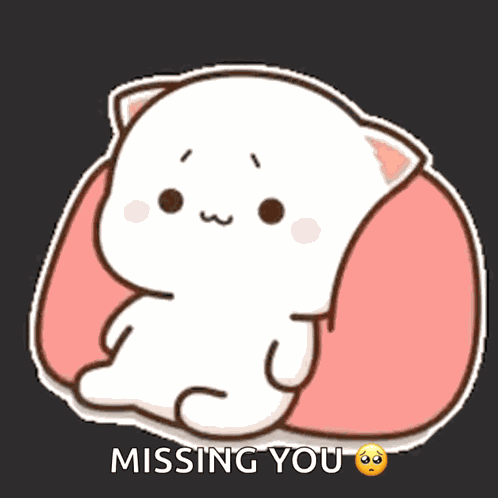 Peach Cat GIF