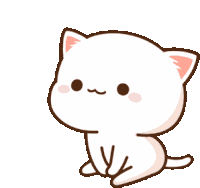 Peachcat Cats Sticker