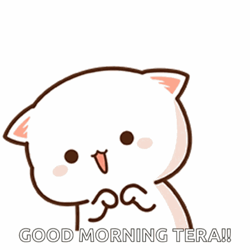 Peachcat Cute GIF