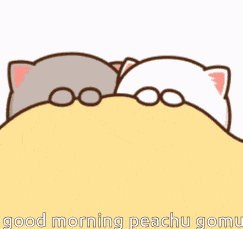 Peachu Loves Gomu GIF