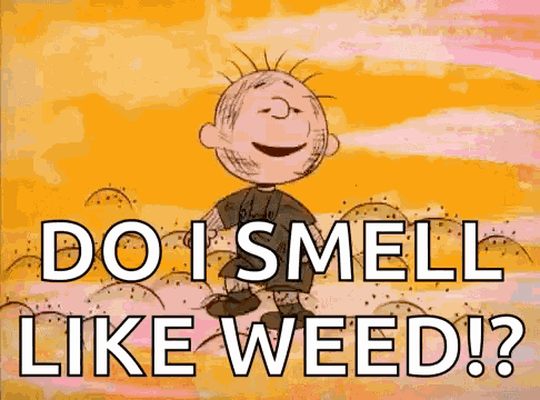 Peanuts Pig Pen GIF