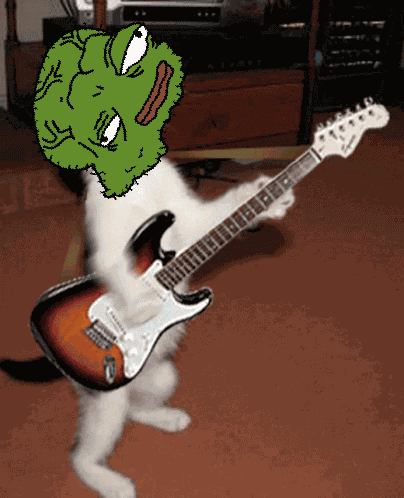 Peden GIF