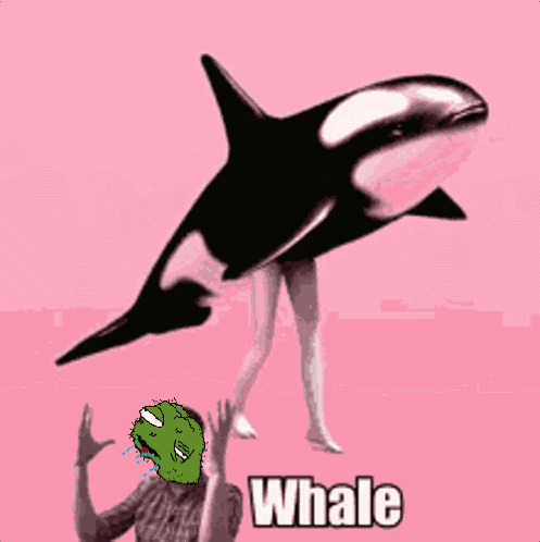 Peden GIF