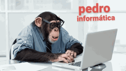 Pedro Informatica Macaco Ti GIF