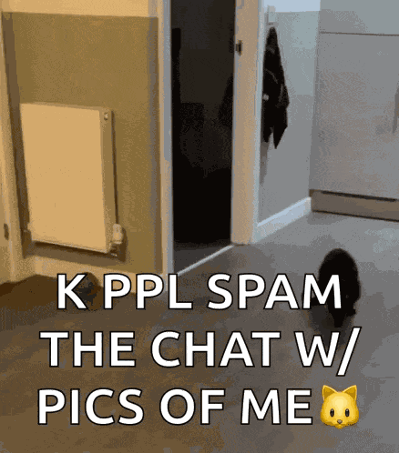 Penesme Black Kitten GIF