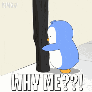Pengu Pudgy GIF