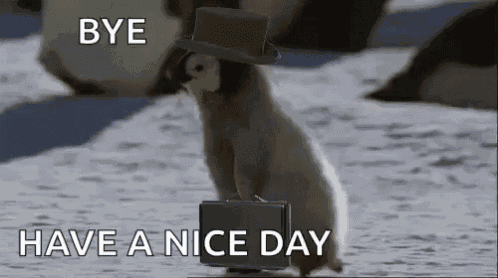 Penguin Artic GIF