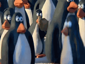 Penguin Stress Breakthing GIF