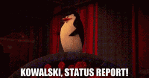 Penguins Of Madagascar Skipper GIF