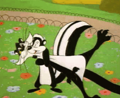 Pepe Le Pew Looney Tunes GIF