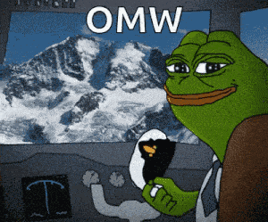 Pepe Plane GIF