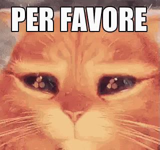 Per Favore Ti Prego Ti Scongiuro Dai Pregare Scongiurare Per Pietà Per Cortesia GIF