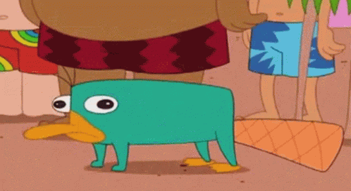 Perry Perrytheplatypus GIF