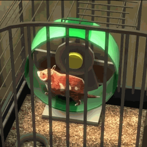 Persona 3 Persona 3 Reload GIF